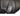 Miele SEB228 ElectroPlus Power Head