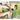 Bissell Big Green Complete Deep Cleaner Canister Vacuum
