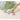 Bissell Little Green Steam Cleaner