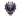 Dyson V11 Toque Drive Vacuum
