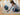 Bissell 1565 ProHeat 2X Lift-Off Upright Carpet Cleaner