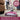 Kenmore AllergenSeal Lift-Up Bagless Upright Vacuum With Hair Eliminator Brushroll