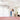 Kenmore Elite CSV Max 21.6V Cordless Stick Vacuum
