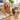 Golden retriever and tabby cat beside shed pet hair on a hardwood floor and living-room rug