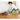 Bissell Little Green Steam Cleaner