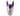 Bissell 1610370 Dust Bin - Grapevine Purple