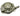 Electrolux Legacy Cordwinder