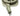 Electrolux Legacy Cordwinder