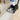 Bissell TurboClean Pet XL Upright Carpet Cleaner