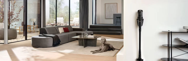 Dog sitting on the floor in a modern living space next to the Miele HX3 cordless vacuum