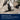 Electrolux Pure D9 Canister Vacuum Cleaner