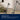 Electrolux Pure D9 Canister Vacuum Cleaner